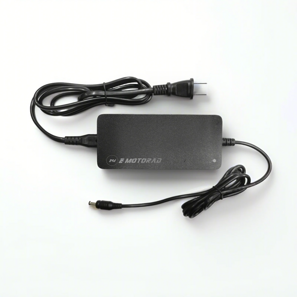 Emotorad_charger_grande.png?v=