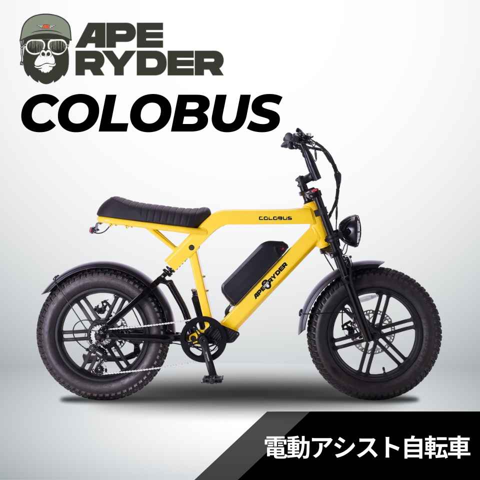 APE RYDER COLOBUS 500W 電動アシスト自転車 ファットタイヤ│店舗受取限定