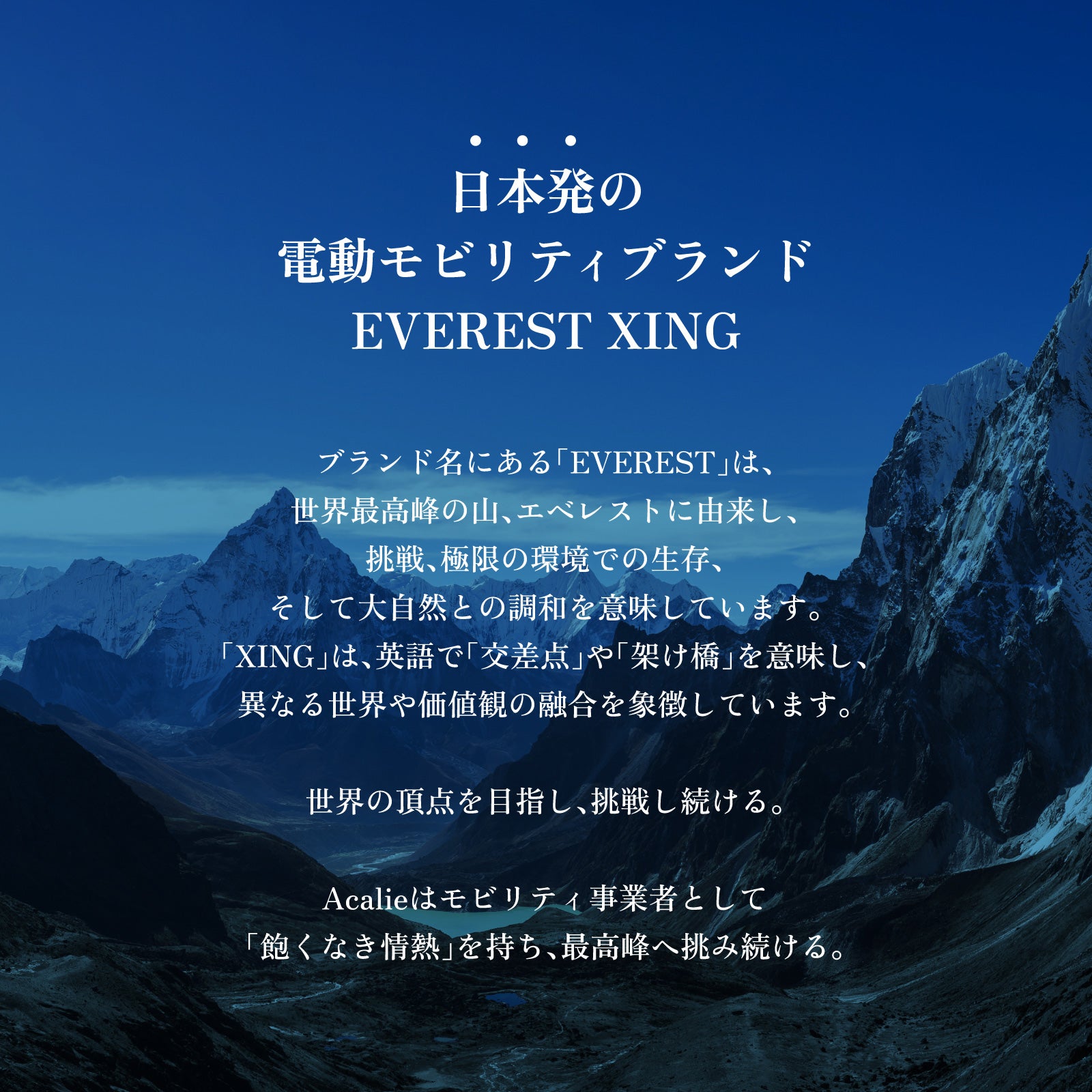 EVEREST XING CITY+ 電動アシスト自転車 子供乗せ対応 型式認定取得済み【数量限定 リアキャリアをプレゼント】